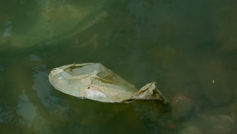 plastic rubbish on polluted stagnant water