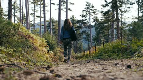 woman hiking in forest in autumn