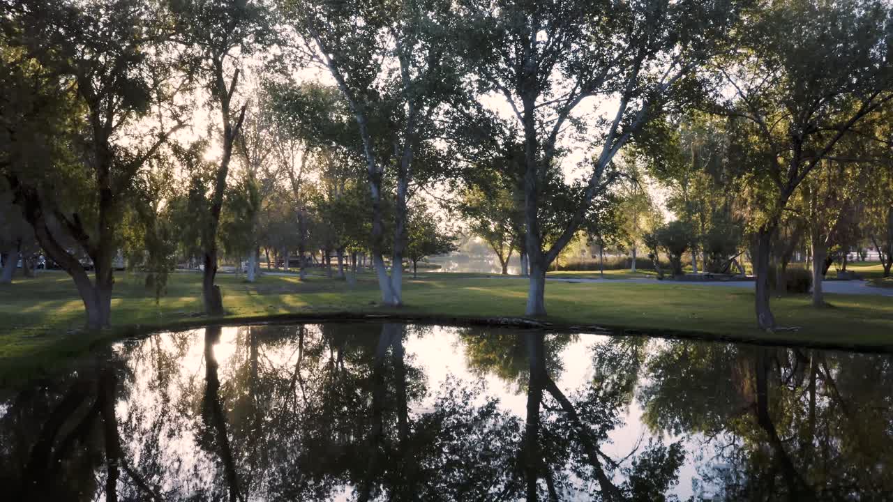 volando sobre el hermoso estanque del parque con reflejo de árboles hacia la puesta de sol
