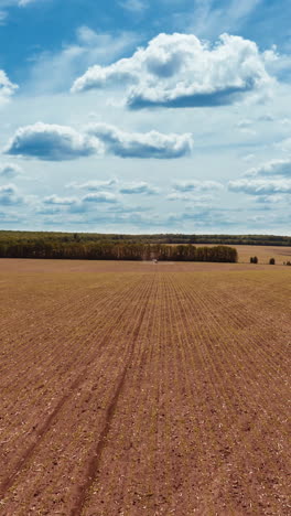 farmland from above. beautiful agricultural landscape of open field