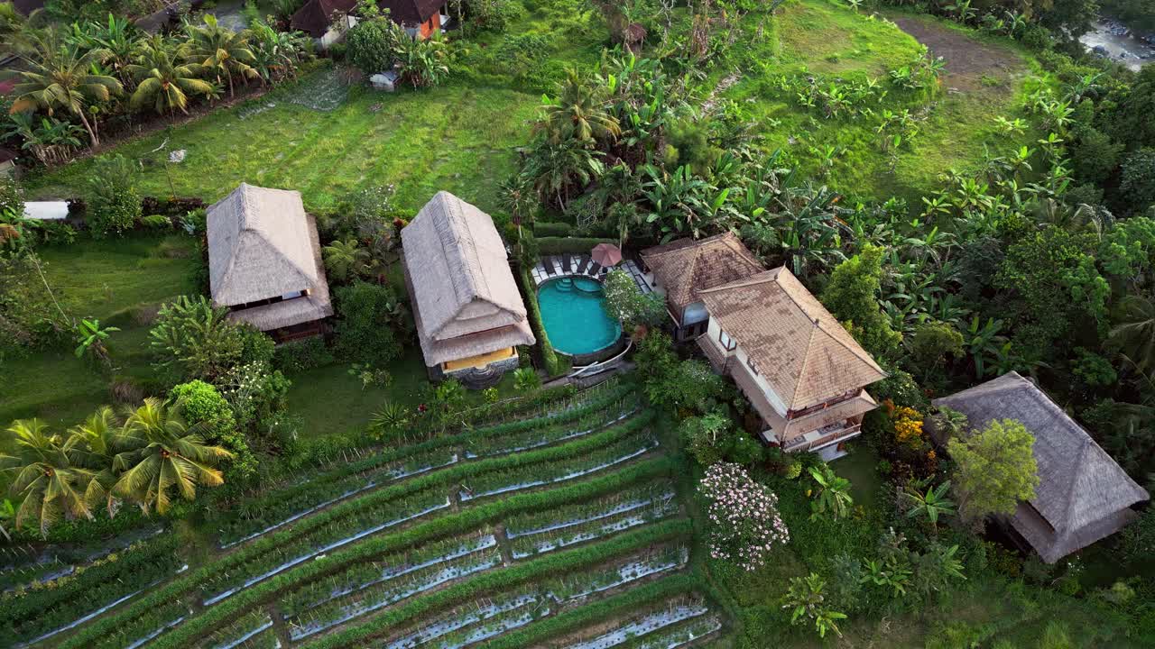 Drone footage of tropical village homes in Bali with a pool and rice fields. Highlights green countryside, palm trees, and peaceful traditional architecture in a natural island landscape