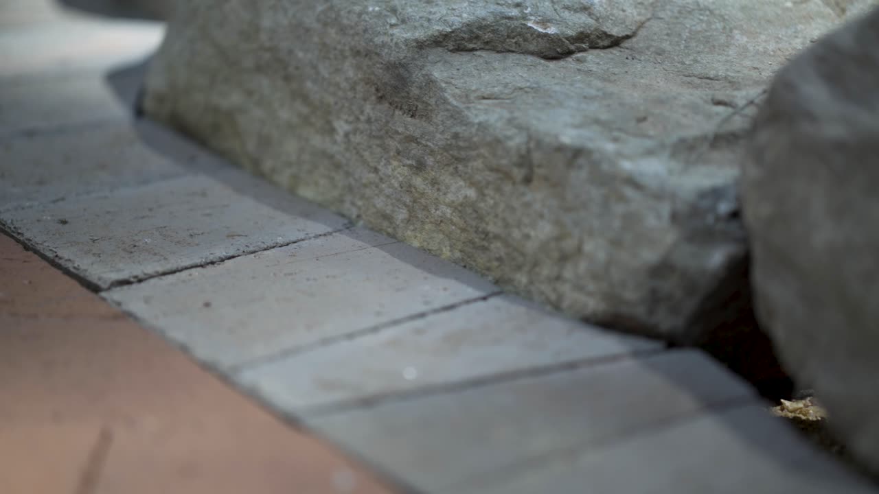 Close-up of Stone and Brick Pavement