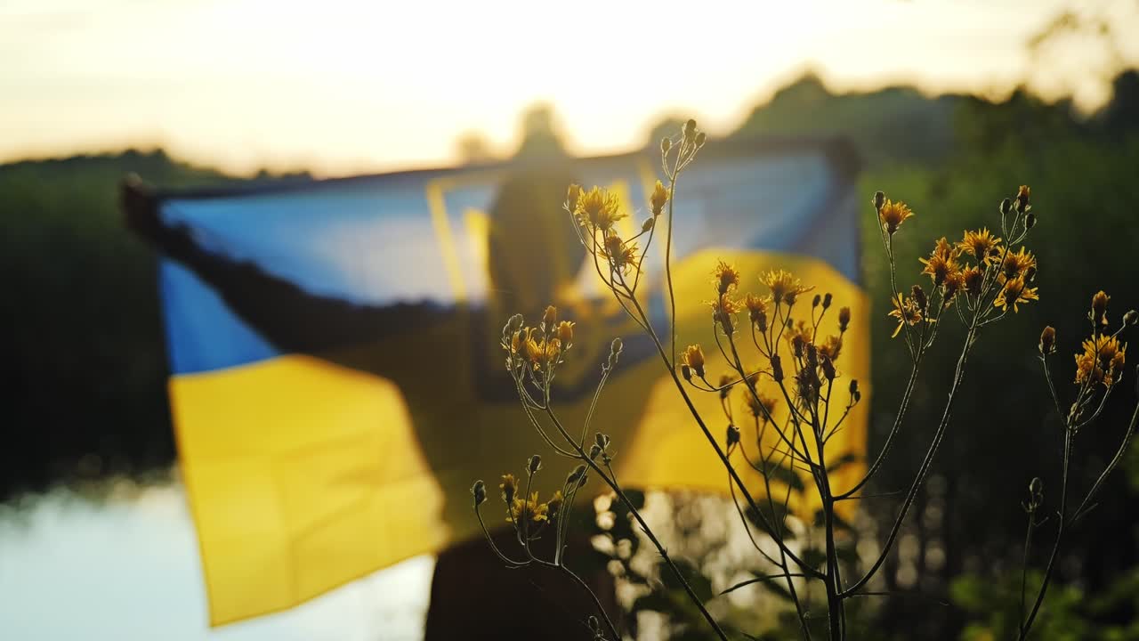 Soft focus flowers and flag of Ukraine glowing in warm evening sunlight