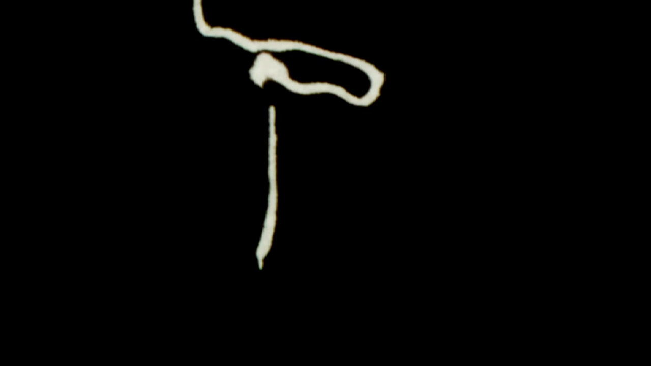 Abstract White and Yellow Organic Lines Flowing on Black Background