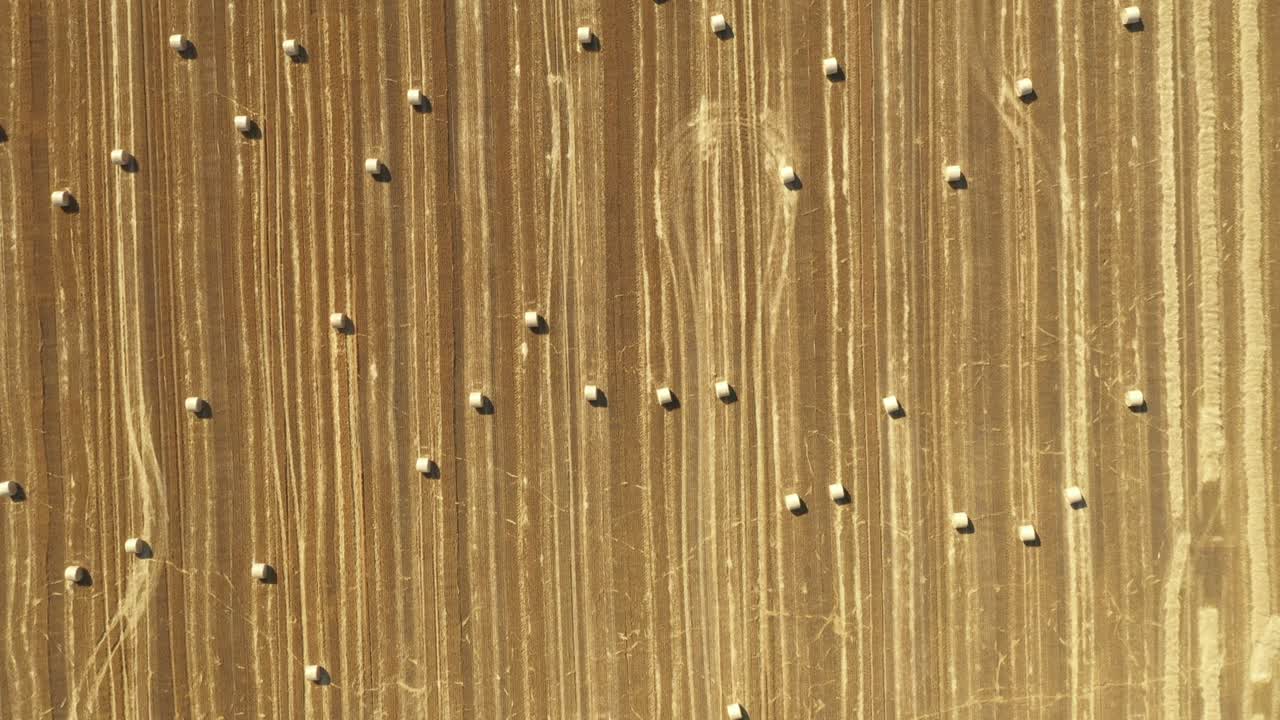 Aerial view of field with lined straw bales on farm fields