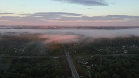 vista aérea de drones de niebla sobre el bosque