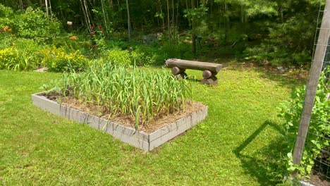 cama de jardín elevada y banco para sentarse en el patio