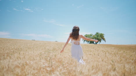 joyful lady running spikelets sunshine nature back view. excited girl spinning