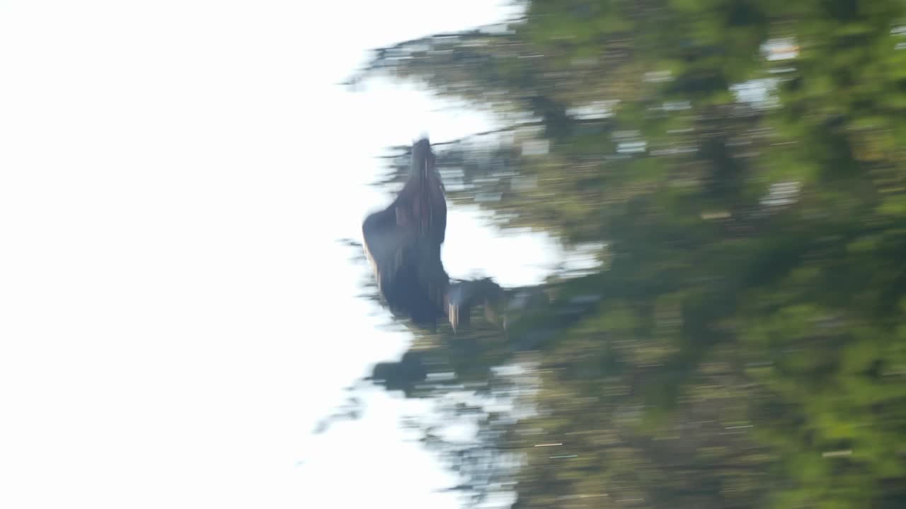 유원지 로프 파크에 설치된 집라인 하강