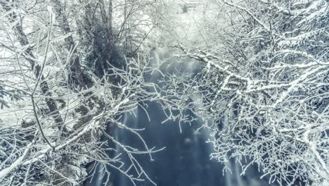 Bäume,-Die-Mit-Zerbrechlichen-Spitzen-Des-Raureifs-Bedeckt-Sind,-Lehnen-Sich-über-Den-Eiskalten-Fluss