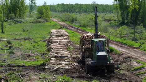 a harvester machine efficiently gathers cut wood from the ground and loads it onto its trailer. the scene showcases the power and precision of the machinery in the wood harvesting process.