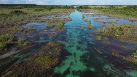 Vista-Aérea-De-Humedales-Tropicales,-Aguas-Claras-Del-Lago-Bacalar,-México