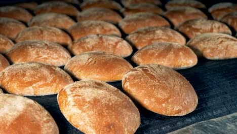 fresh baked loaves of bread are moving on the conveyor and are being powdered. 4k.