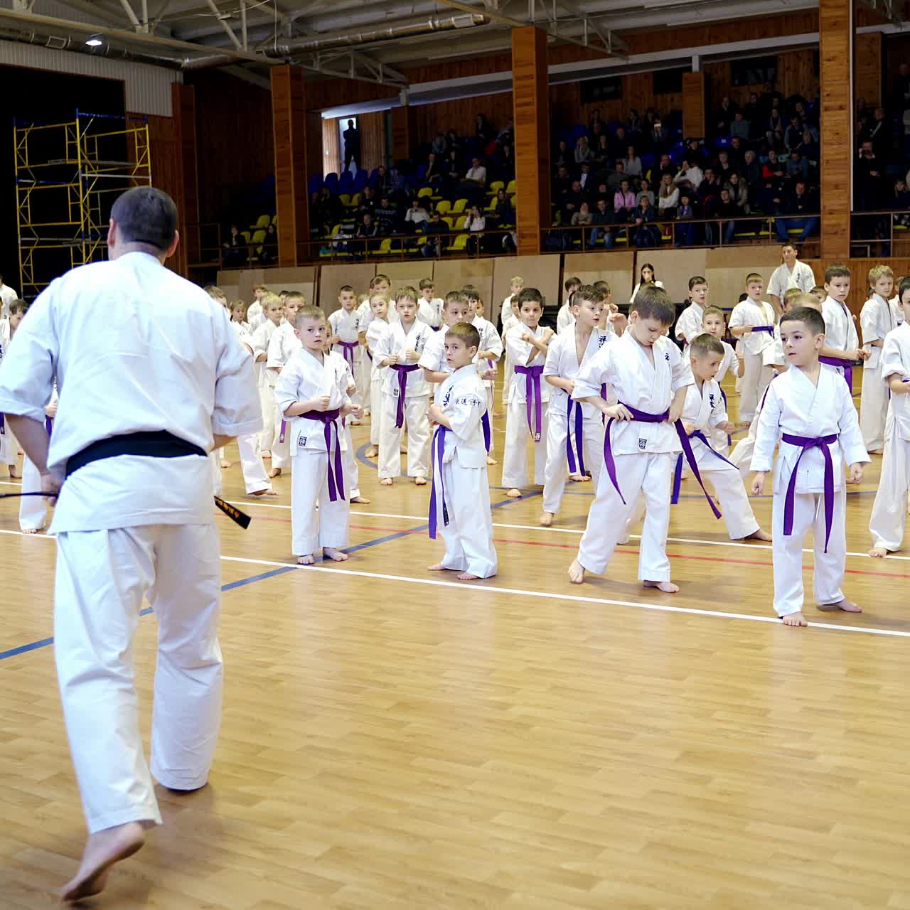 Young karate sportsmen repeating moves after the master. Spectators at the backdrop watch the training