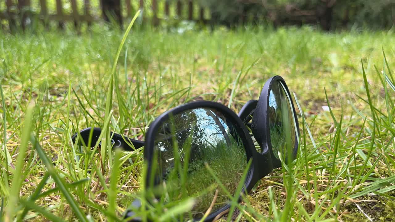 잔디 속에 누워 있는 선글라스의 타임  ⁇ 스