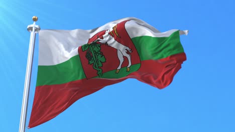bandera de lublin, polonia. loop (en inglés)