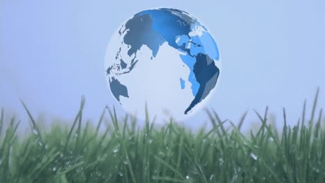 Animation-of-rotating-globe-over-close-up-of-green-grass-against-clear-sky
