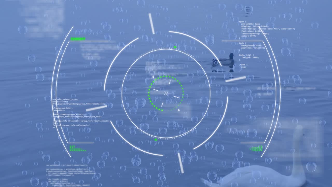 Animation av sökare och diverse data över svanar och ankor på en sjö