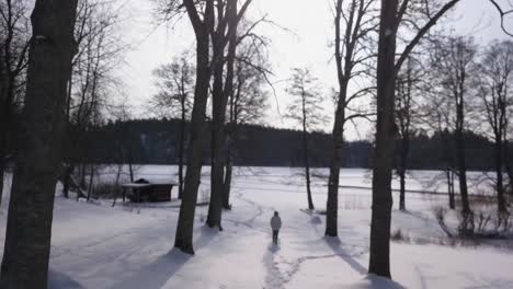 aerial footage following a blonde girl walking towards cabin on the edge of a frozen lake in beautiful winter landscape