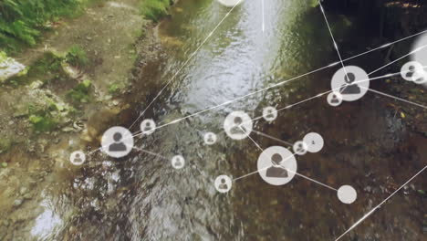 animating network connections over river in forest