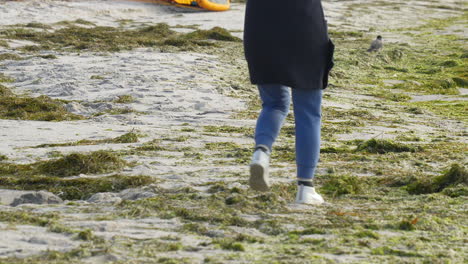 person in a blue coat walking along a seaweed-strewn beach