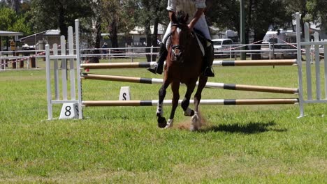 caballo y jinete navegando en un curso de salto de espectáculo