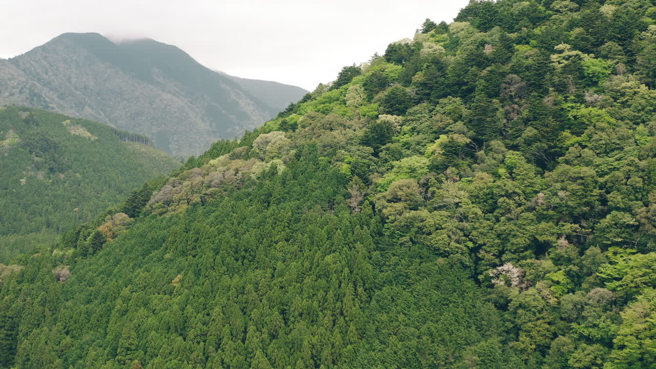 vista panorámica de las exuberantes montañas verdes de kawane en shizuoka, japón - retroceso aéreo