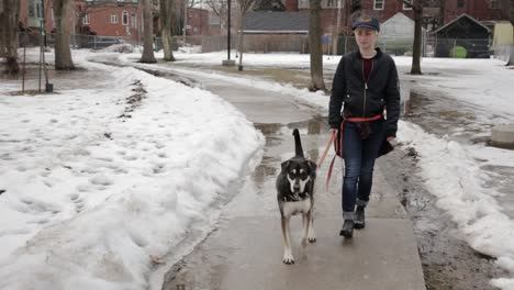 a young person walking their dog through the snow