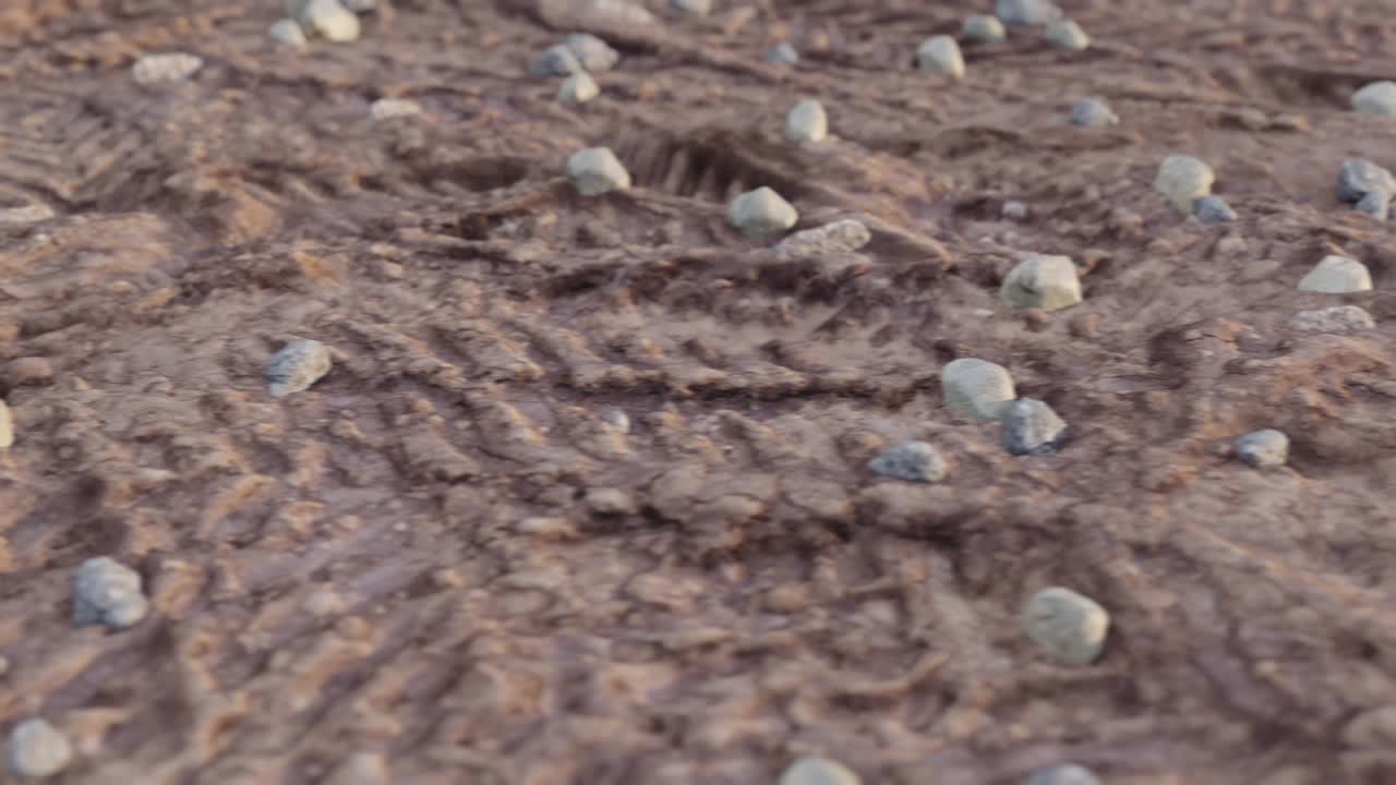 barro seco, suciedad con marcas de neumáticos de automóviles. tiro de sobrevuelo. animación 3d. bucle. imágenes de alta calidad 4k