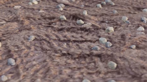 dry mud, dirt with car tyre marks. flyover shot. 3d animation. loop. high quality 4k footage