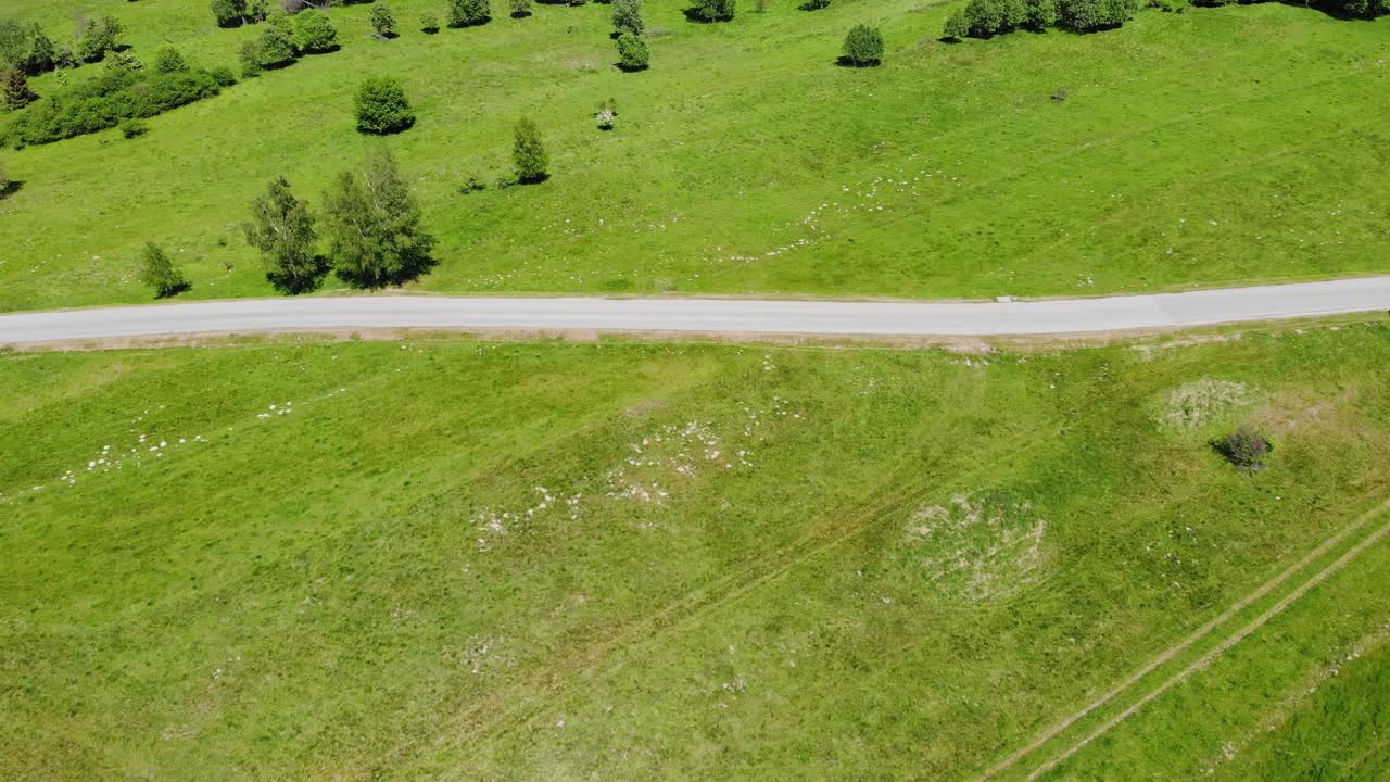 초록 들판 을 지나가는 시골 아스팔트 도로 의 위상