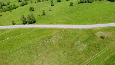 aerial top down view on rural asphalt road passing green meadow