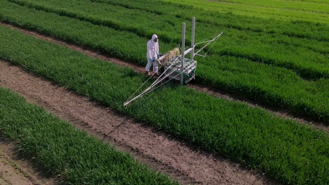 Slow motion aerial shot of Unrecognizable man in white protective suit throwing chemicals to wheat with special machine on breeding station