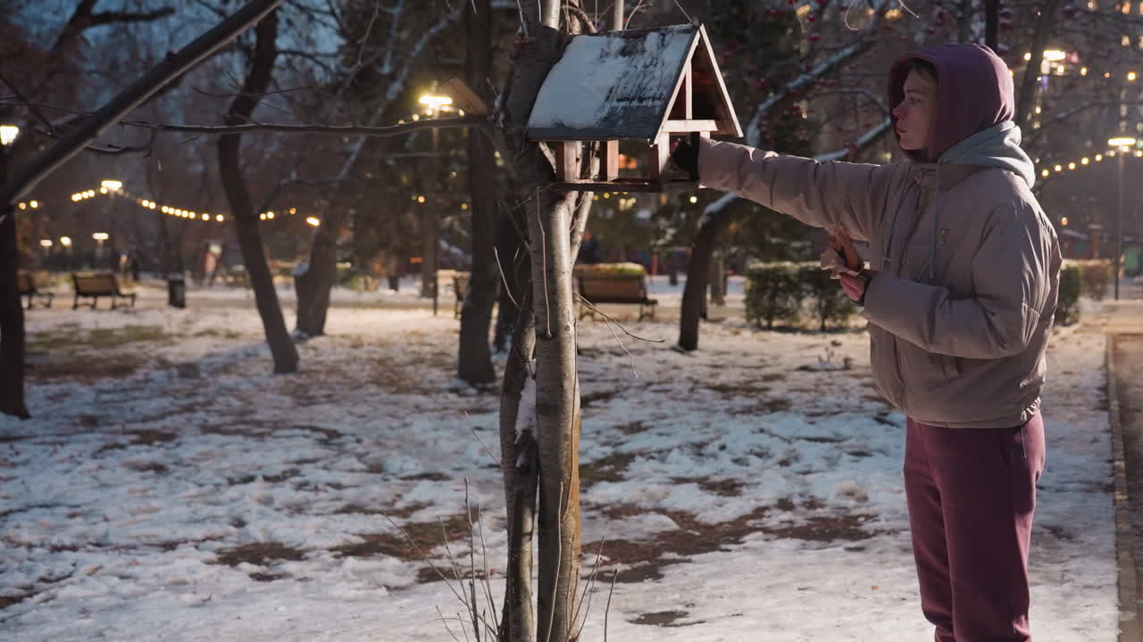 겨울 공원에서 서 있는 여인, 눈 인 주변의 새들을 위한 새집에 음식을 떨어뜨리고, 조명된 공원 불빛이 아한 겨울 분위기를 조성합니다.
