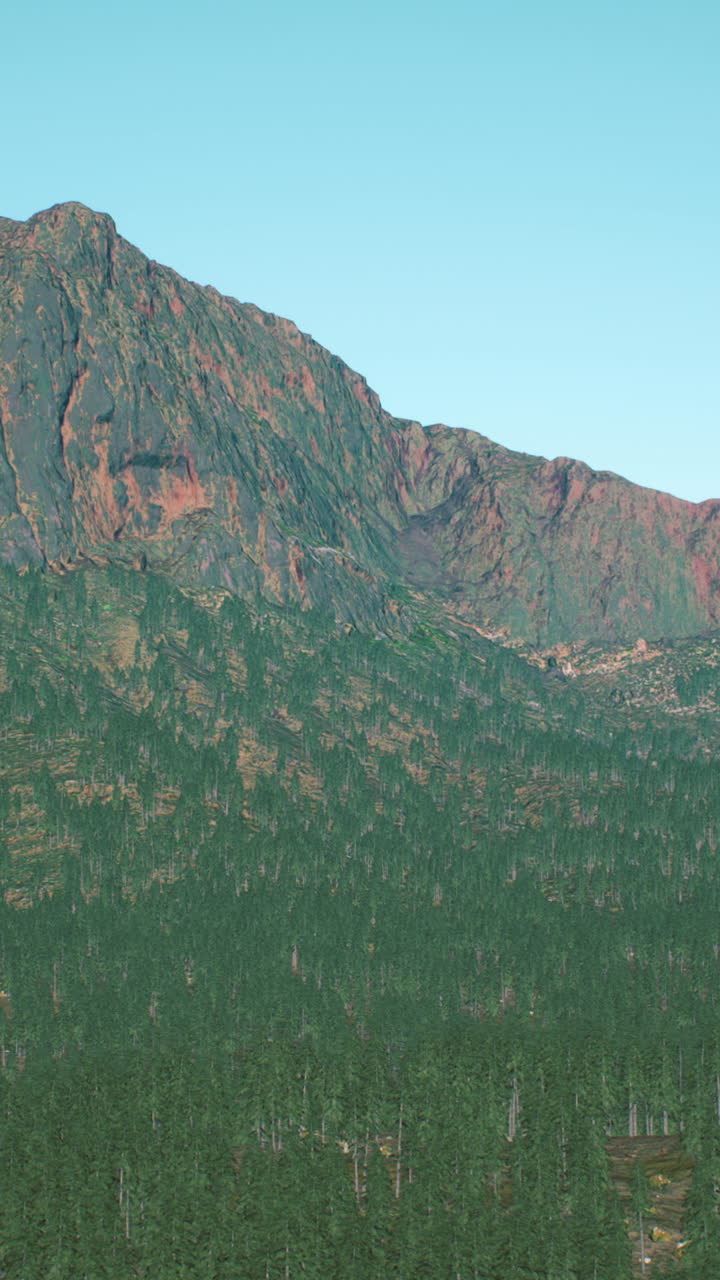 paisaje montañoso con un bosque de pinos