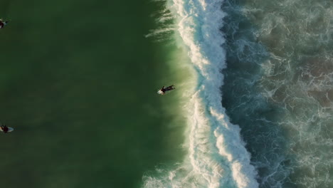 surfers on the wave at llandudno beach, cape town, south africa - aerial top down