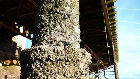 Under-weathered-worn-Llandudno-pier-landmark-support-pillars-at-low-tide-closeup-dolly-right