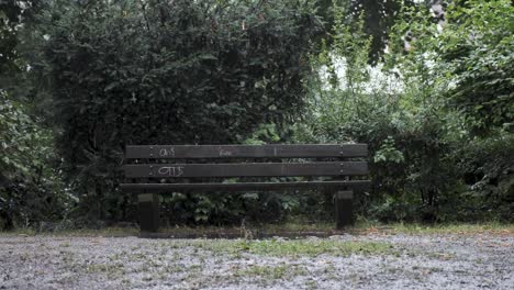 wooden park bench on rainy summer day
