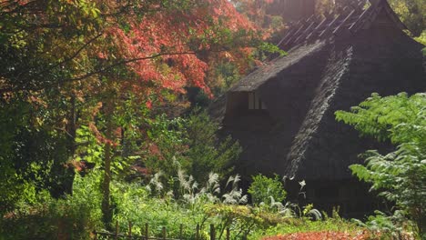 incredible stunning straw roof house in natural autumn color setting