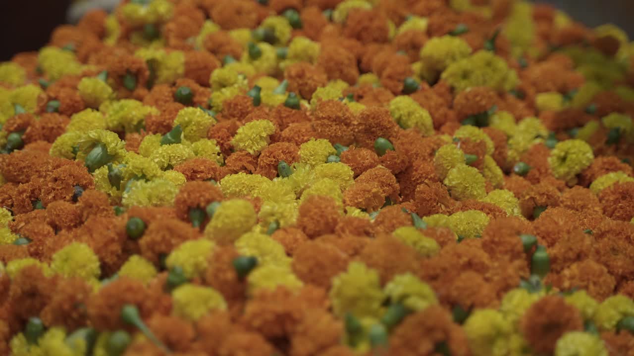 Marigolds are brought to the market for sale