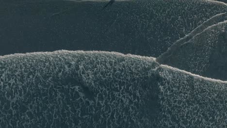 top view of a man walking on the beach towards the sea waves in costa rica on a sunrise - aerial shot