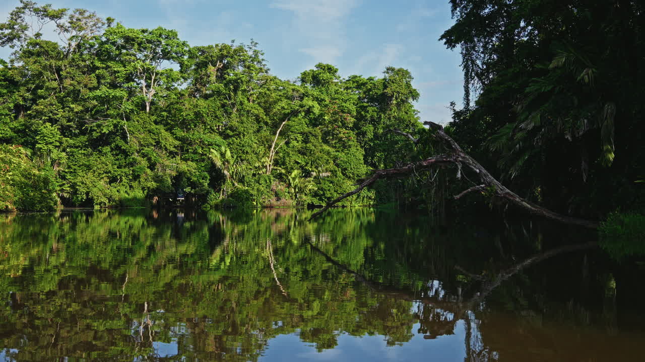 Navigating through the canals of Tortuguero National Park in Costa Rica. Panoramic view of the green lush vegetation and the rainforest. Natural reserve for wildlife and biodiversity.