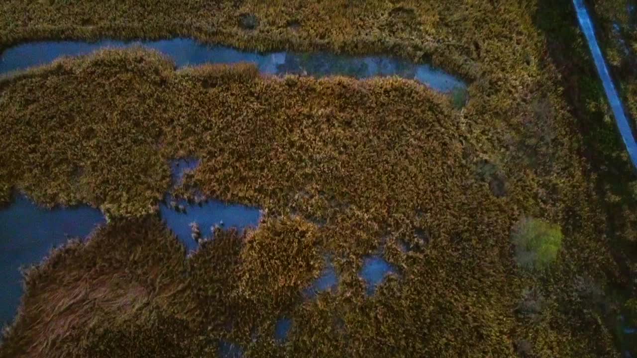 dron volando sobre el páramo con un sendero al lado y girando gimble hacia arriba para establecer la escena
