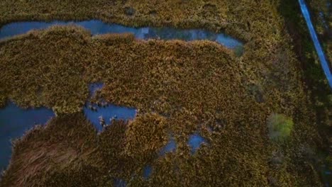 drone flying over moor with footpath beside and rotating gimble upwards to establish the scene