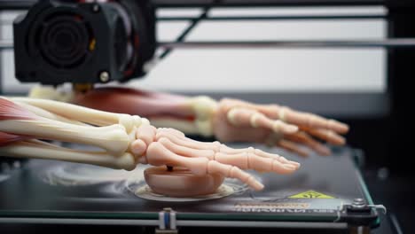 3d printer in action: creating anatomically accurate hand models with advanced technology, showcasing bones, muscles, and precision engineering in education and research