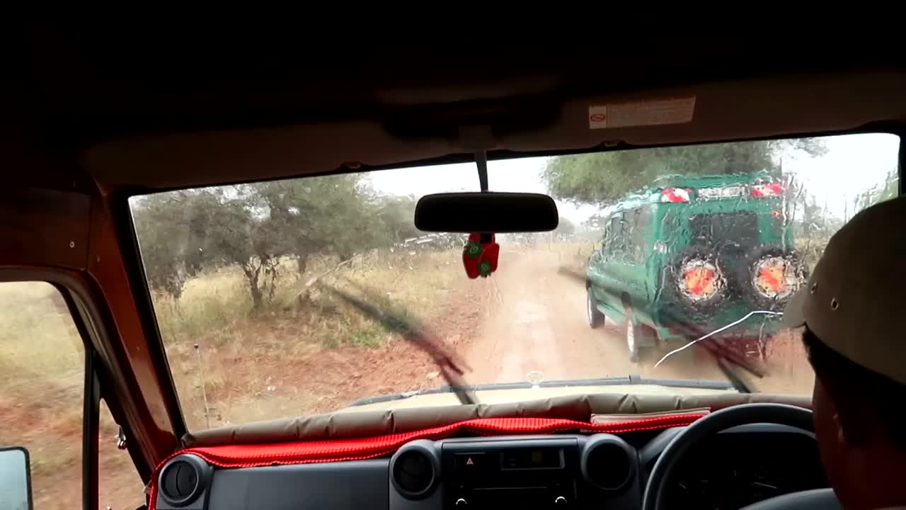 vista interior del coche safari 4x4, conduciendo en la sabana africana durante la temporada de lluvia