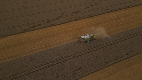 combine harvester driving in a field of wheat crops