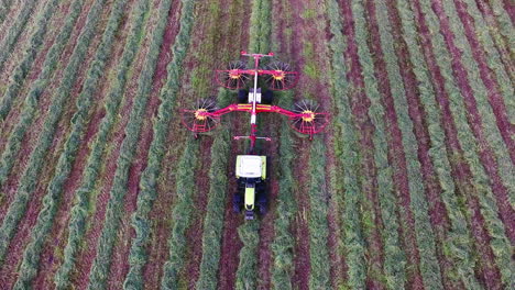 Ackerschlepper-Legt-Im-Grasschnitt-Gerade-Heuhaufen