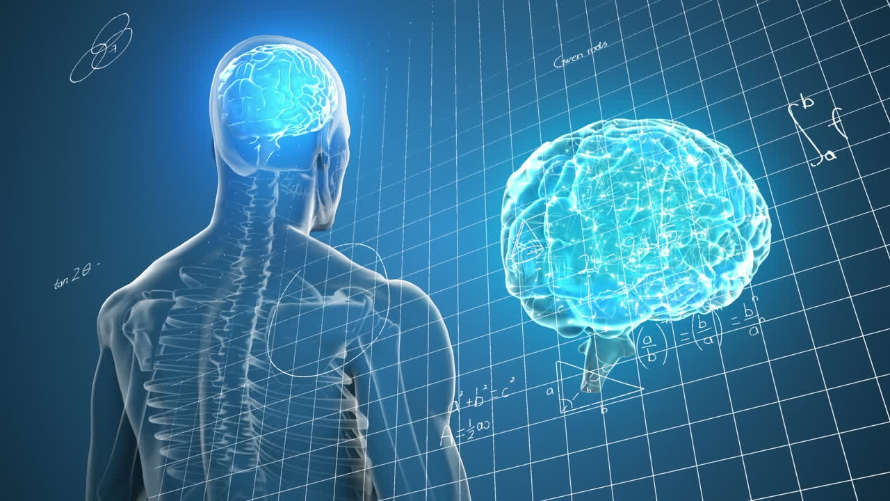 Animation of human brain icon and human body model spinning against mathematical equations