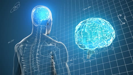 animación del icono del cerebro humano y el modelo del cuerpo humano girando contra ecuaciones matemáticas.